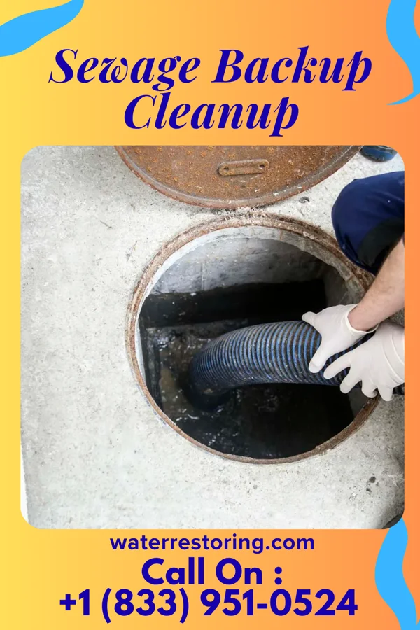 Sewage Backup Cleanup in Newcastle, OK